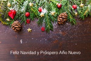 feliz-navidad-y-próspero-año-nuevo2017