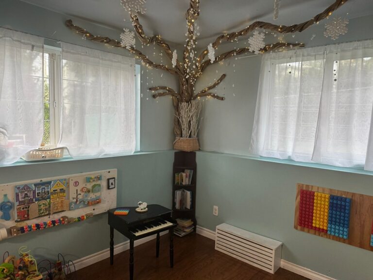 Little Genius Academy